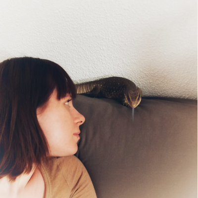 image_Garde d'animaux