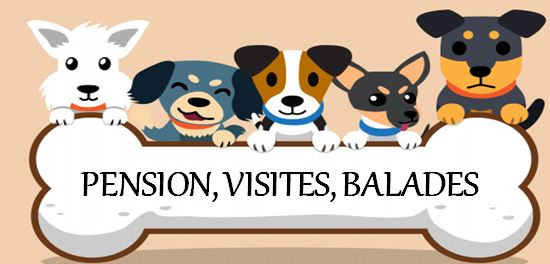 image_pension chien, promenade, visite à domicile chat