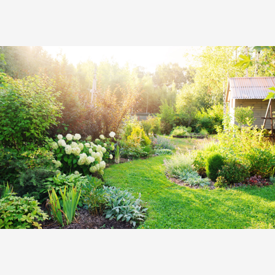 image_Jardinier