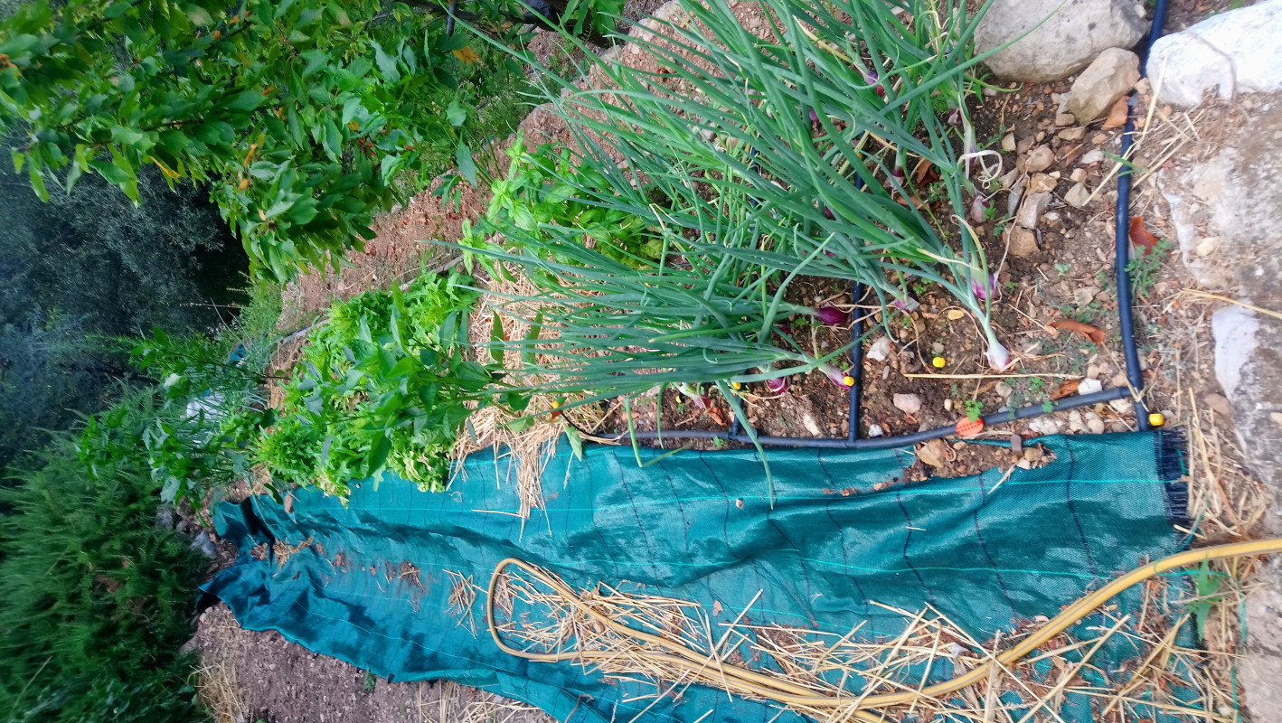 image_Jardinier agriculteur crée potager ornementale agroecologie