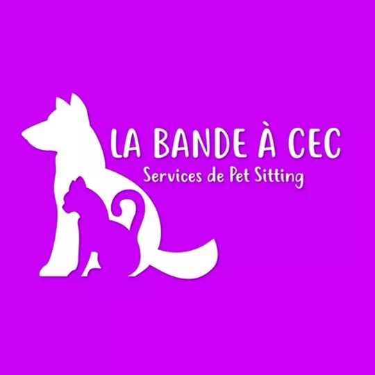 Garde d'animaux, Garde de Chien, Chat à RoquebrunesurArgens (83520) Annonces et offres d'emploi