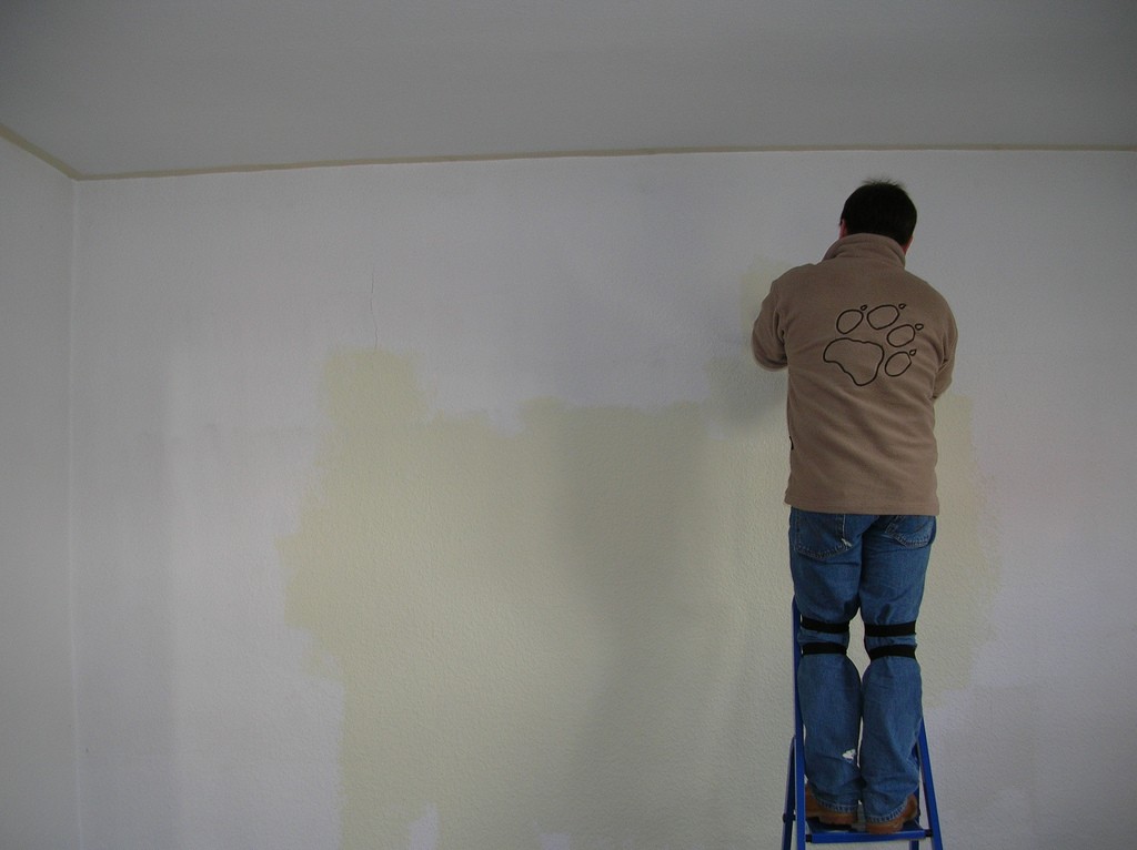 image_Peinture,Ravalement des façades,Menuiserie