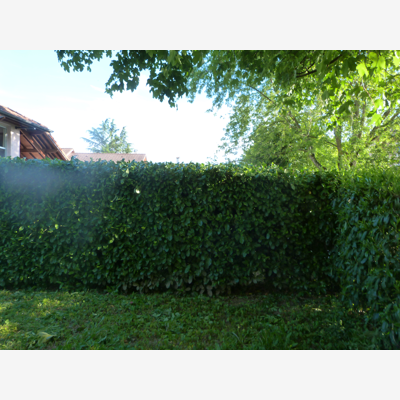 image_jardinier, paysagiste