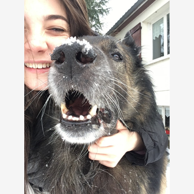 image_Je me propose afin de prendre soins de vous animaux pendant votre absence ;)