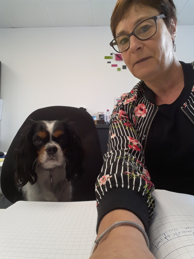 image_Garde chien pendant confinement