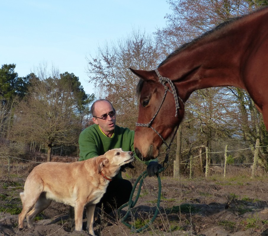 image_Cours d'équitation à domicile