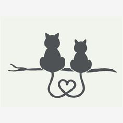 image_RECHERCHE POUR S'OCCUPER CHATS A MON DOMICILE