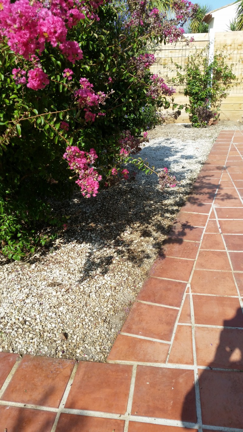 image_Entretien, nettoyage de jardin