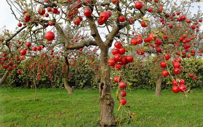 image_Cherche attaché(e) de presse .