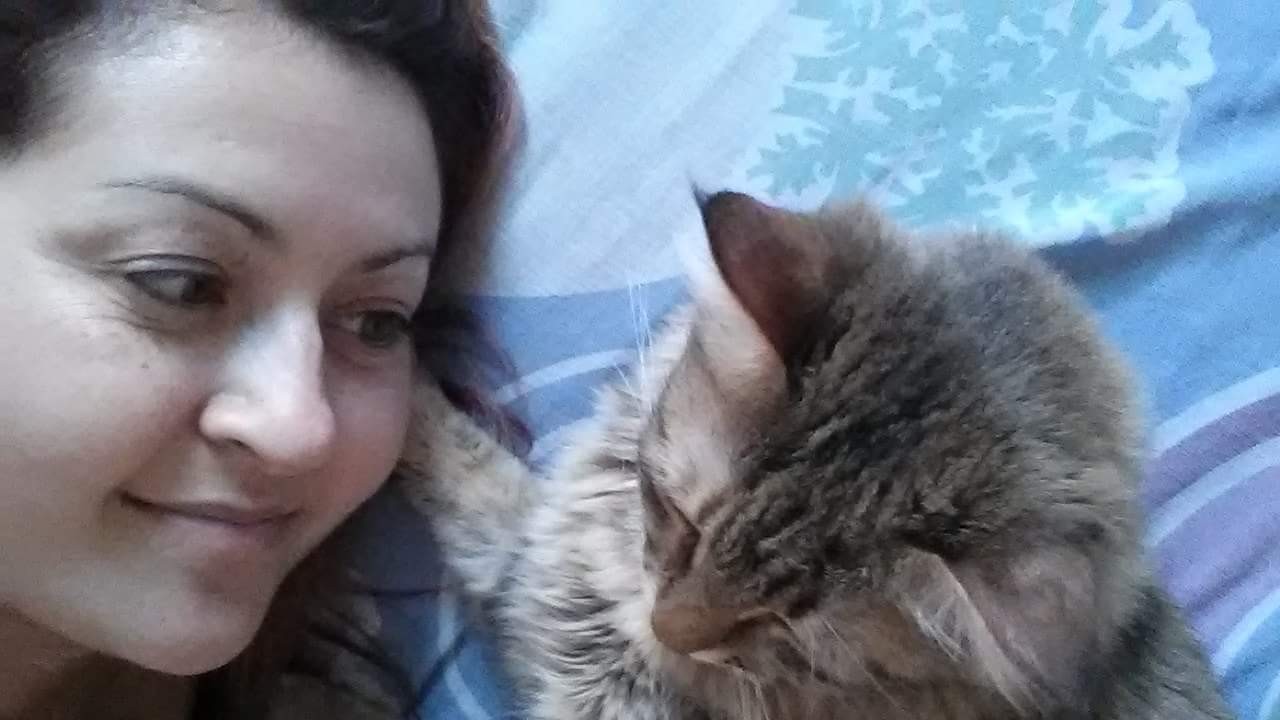 image_Pet Sitter: Vos animaux sous soins de une vétérinaire