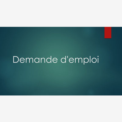 image_Agent polyvalent d'entretien