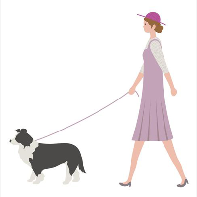 image_Promenade pour animaux~