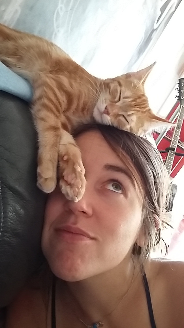 image_Visite à domicile de votre/vos chat(s)