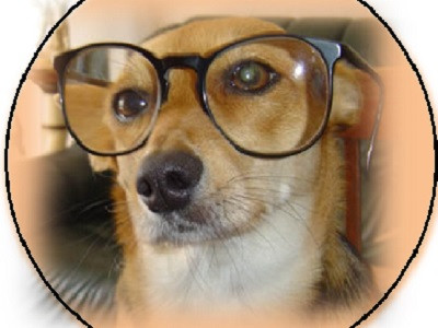 image_Garde d'animaux
