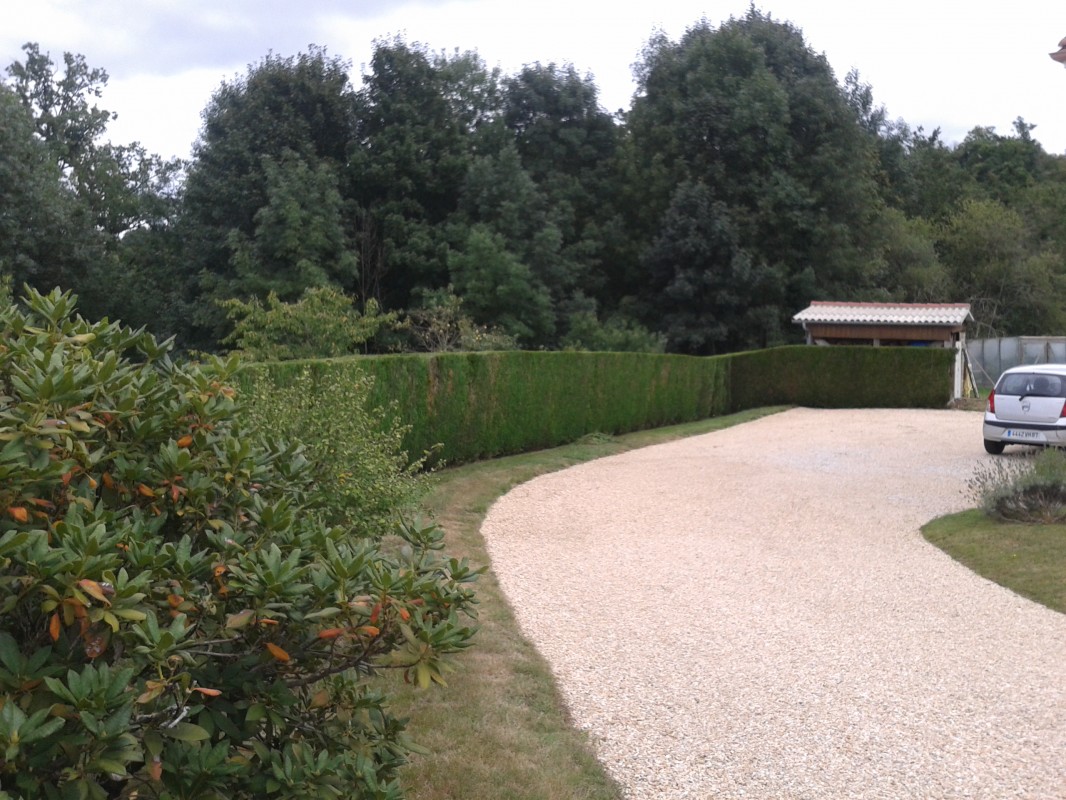 image_jardinier service a la personne