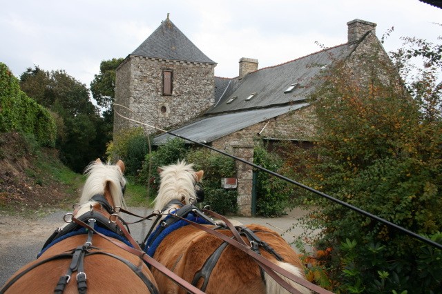 image_PROMENADES EN CALECHE