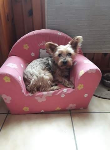 image_garde d'animaux
