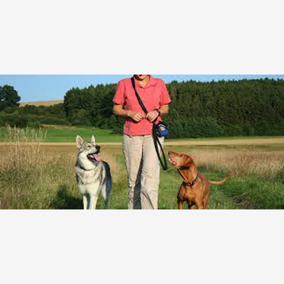 image_Petsitter garde d'animaux