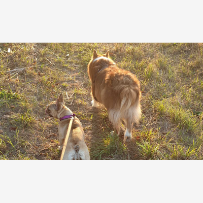 image_Le paradis des animaux