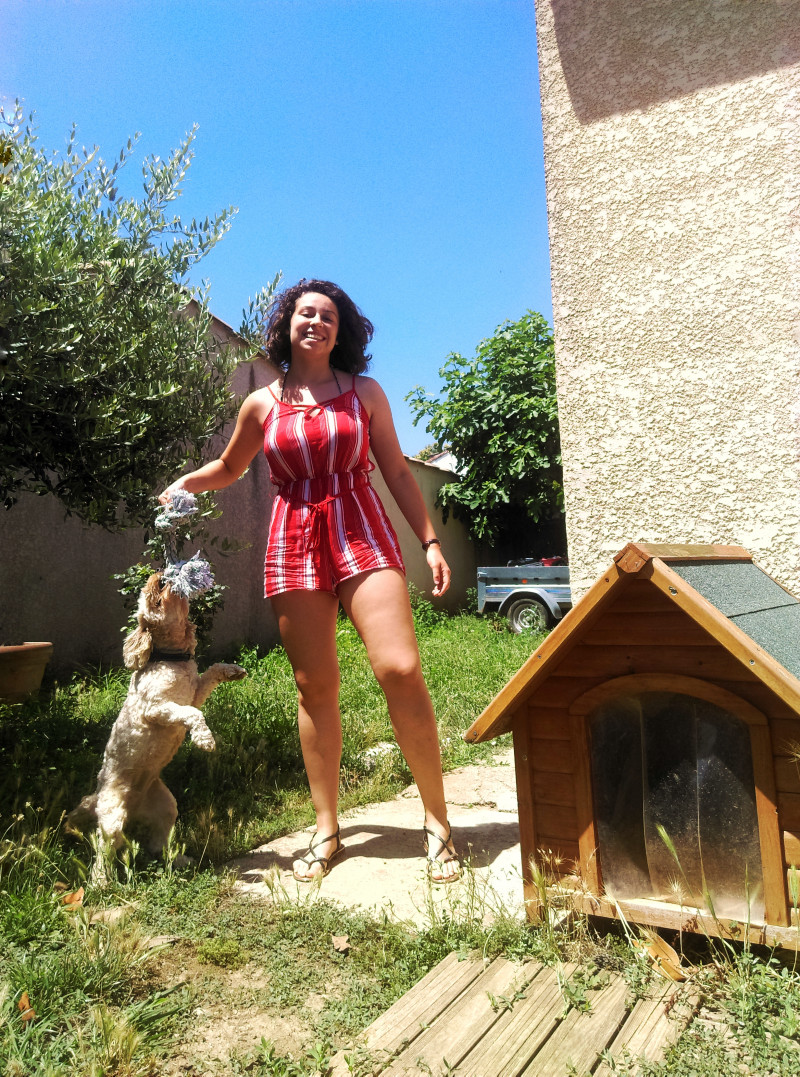 image_Garde d'animaux ( et NAC)