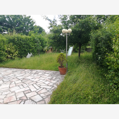 image_Entretien de jardin