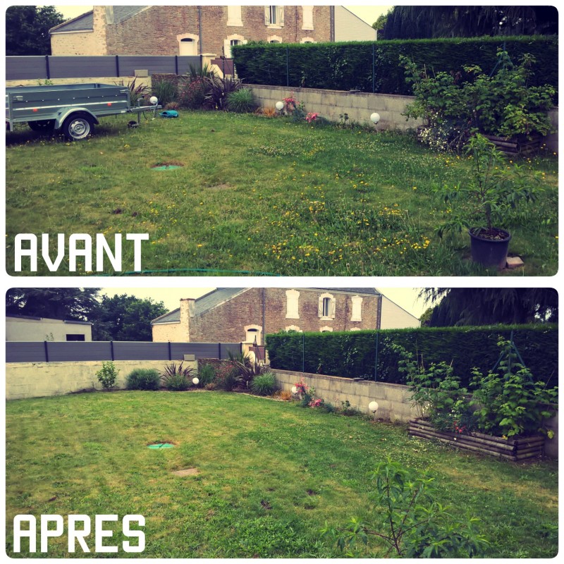 image_Un jardinier Pro à votre service (-50% sur impôts)