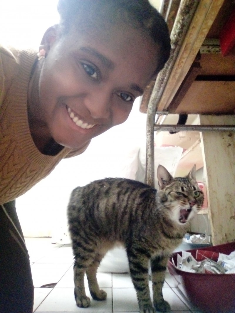 image_Je prends soin de vos animaux !