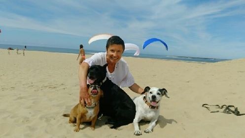 image_VACANCES POUR CHIENS.