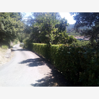 image_jardinier