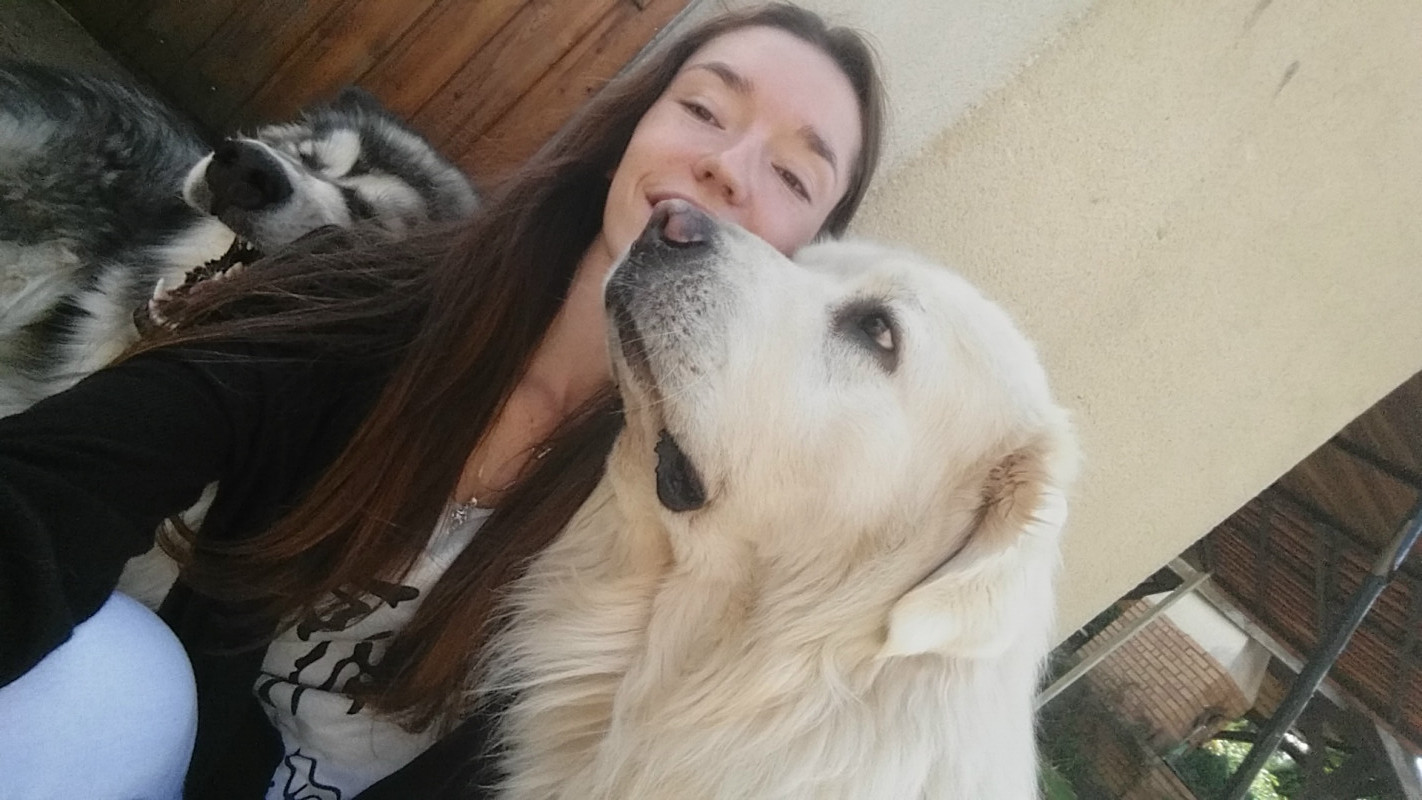 image_Garde d'animaux