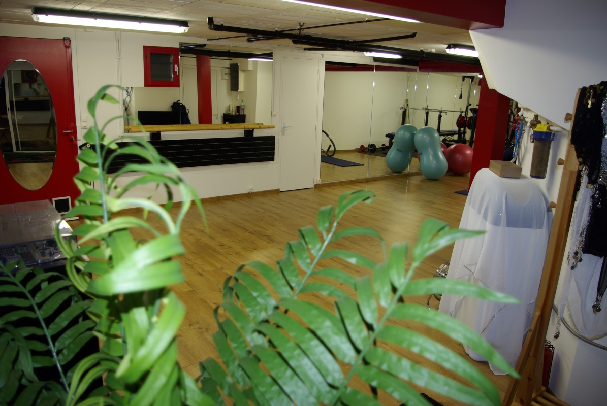 image_Professeur arts martiaux et coach sportif