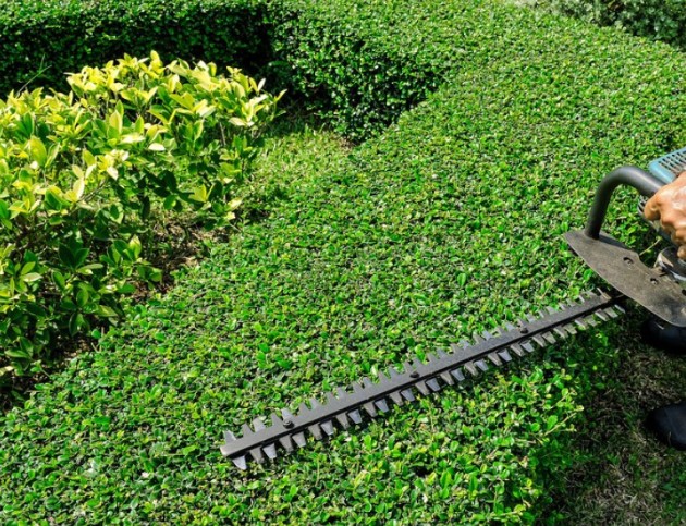 image_Jardinage-jardinier