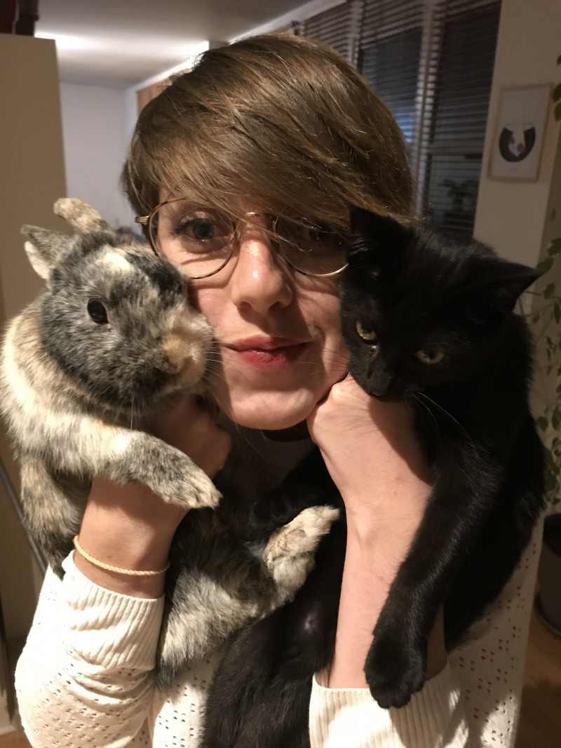 image_Garde de chat et lapin
