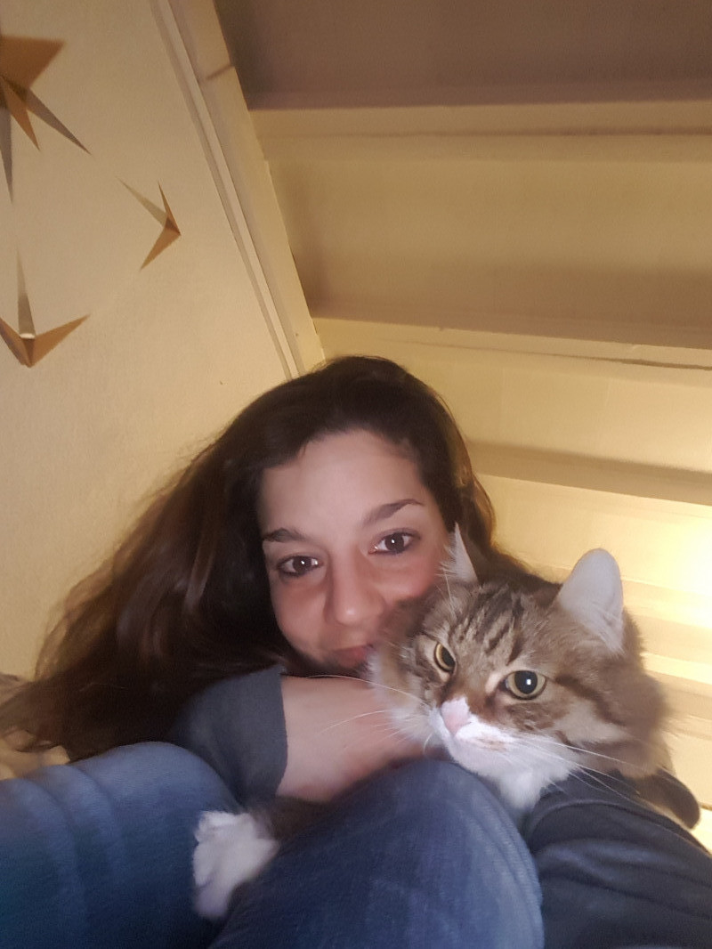 image_Pet sitting