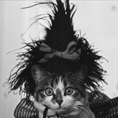 image_Garde de chats, chiens et autres animaux