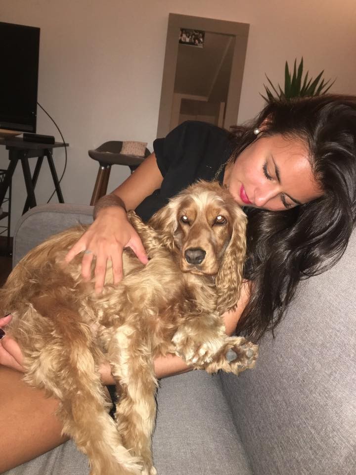 image_dogsitting