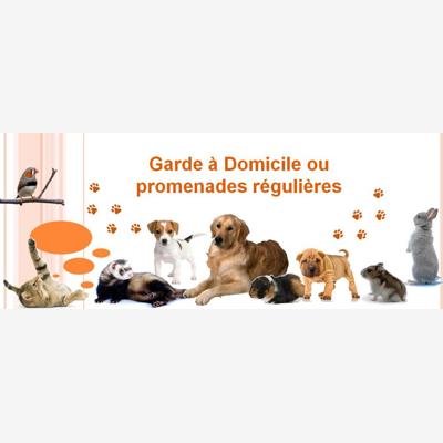 image_🐾Garde d'Animaux🐾 7j/7j🐶🐱