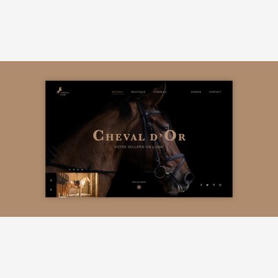 image_Création de votre site vitrine pro