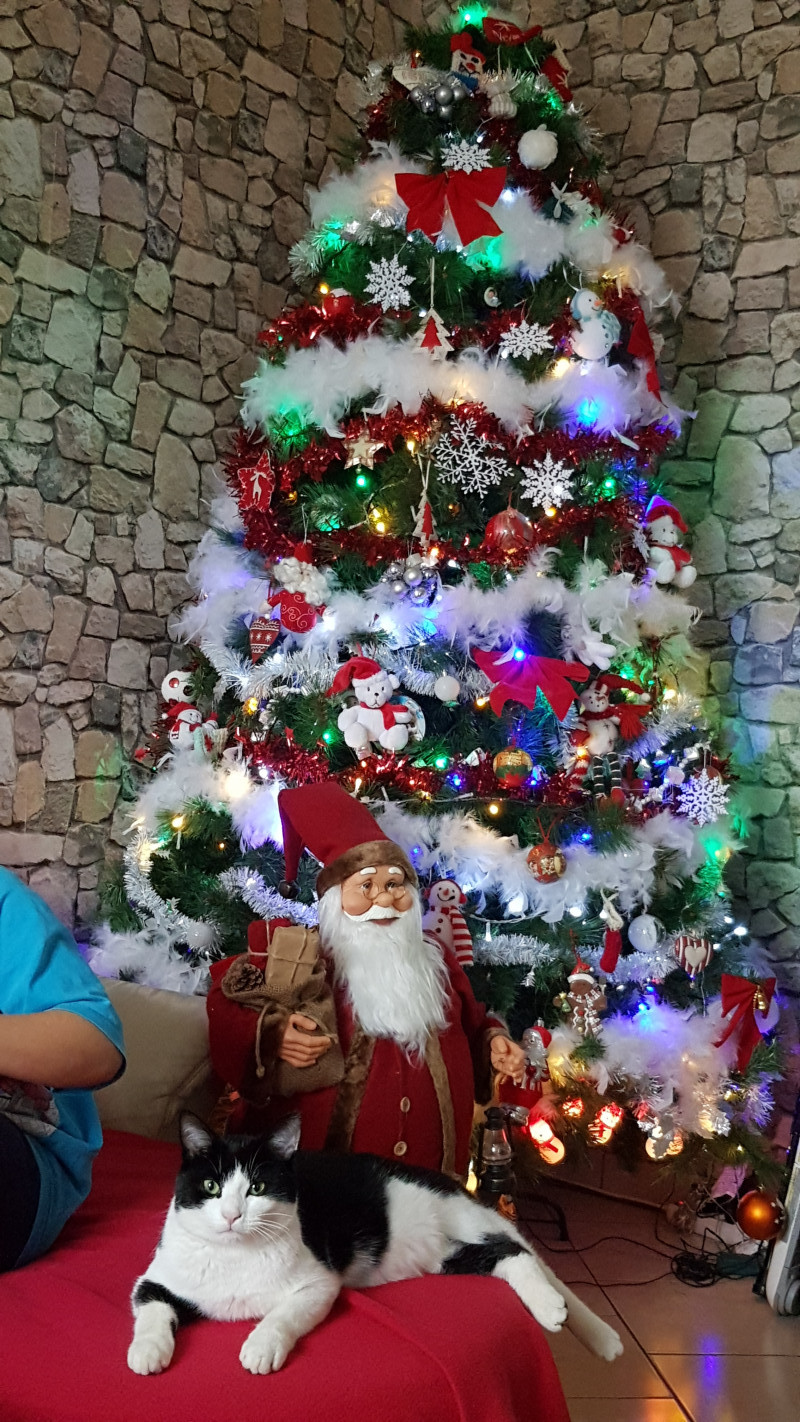 image_famille d'accueil
