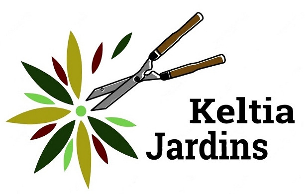 image_Entretien de jardin et travaux de jardinage