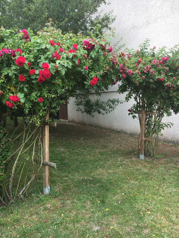 image_Jardinage-Tonte de pelouse etc
