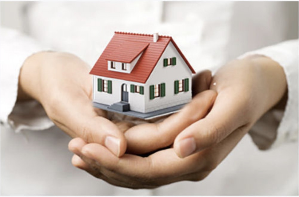 image_PROPERTY GUARDIAN / GARDIEN PROPRIETE / TUTOR DE PROPIEDAD
