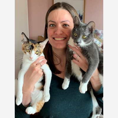 image_Cat sitter