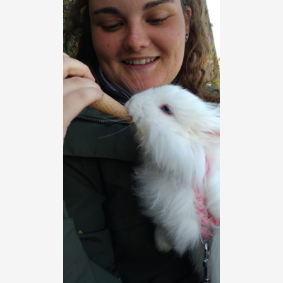 image_Je me propose pour garder ou promener votre animal