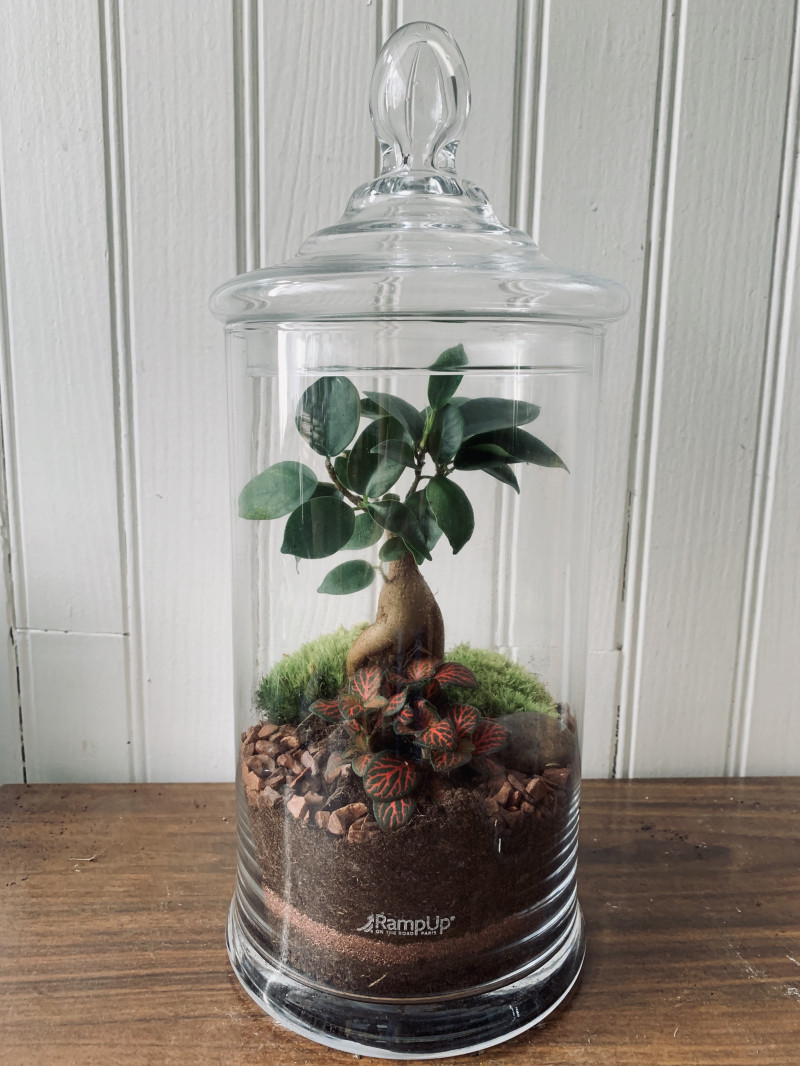 image_Terrarium maker