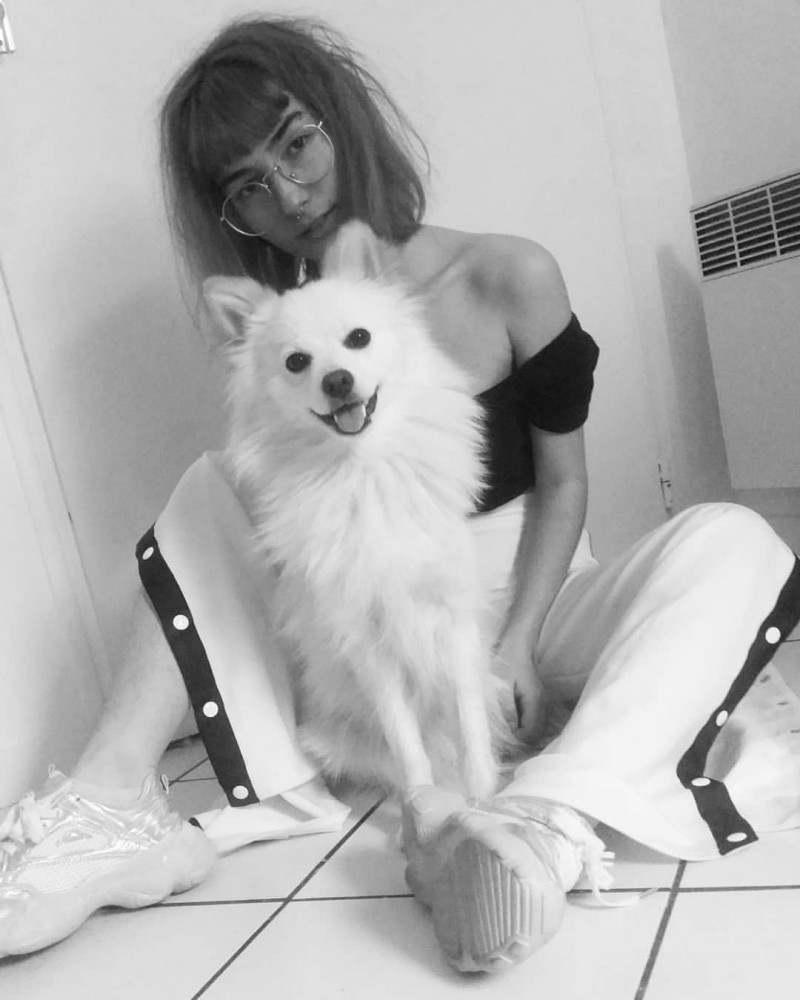 image_Garde, promenade animaux