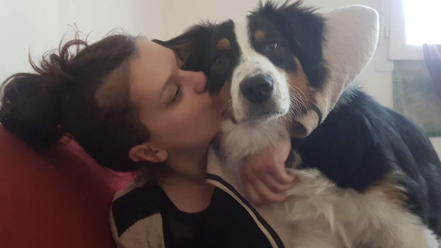 image_Gardiennage d’animaux