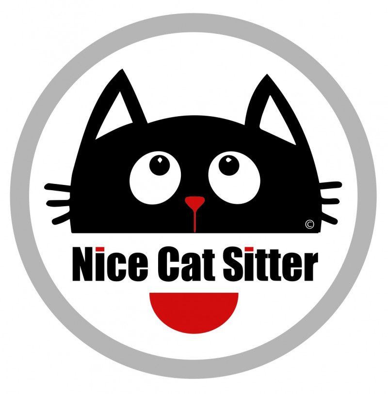 image_Cat sitter Nice (selon zone)