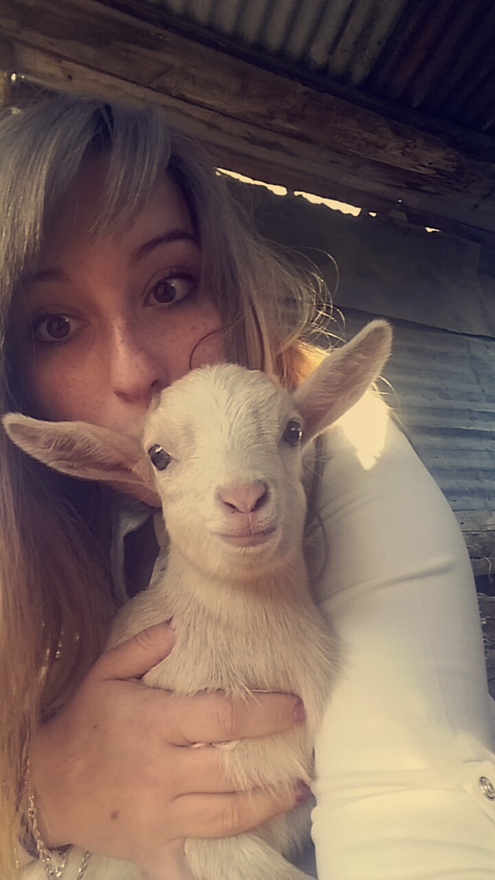image_Garde d animaux