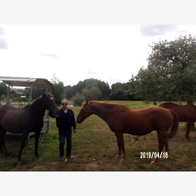 image_je garde votre propriété avec ou sans animaux